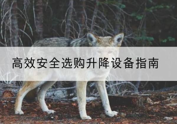 汝城升降货梯厂家推荐-*安全选购升降设备指南