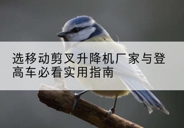 汝城电动升降机厂家-选移动剪叉升降机厂家与登高车必看实用指南