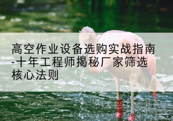 汝城剪叉式升降机厂家-高空作业设备选购实战指南-十年工程师揭秘厂家筛选核心法则